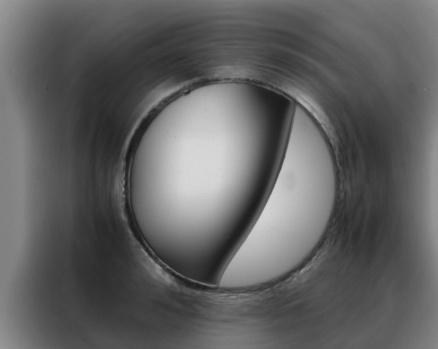 X0000088480992200705220957