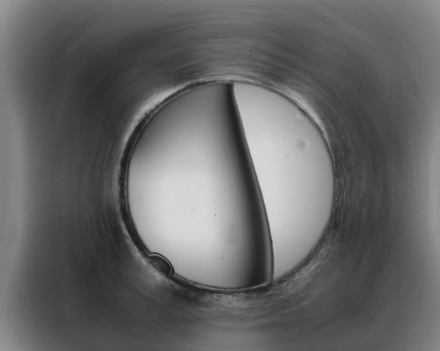 X0000088480995200705220957