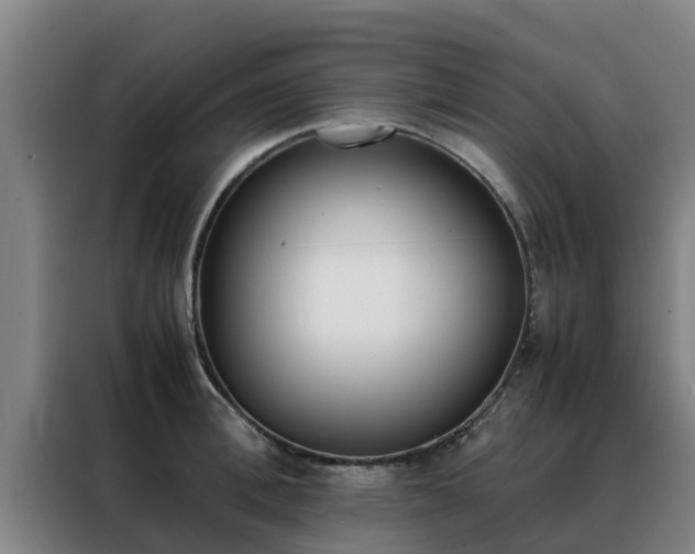 X0000088480996200705220957