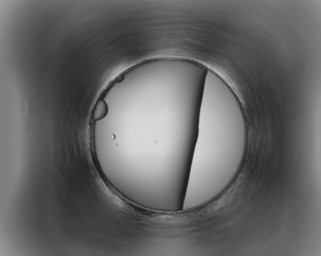 X0000088480998200705220957
