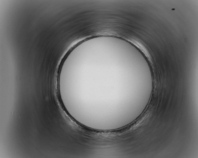 X0000088481000200705220957