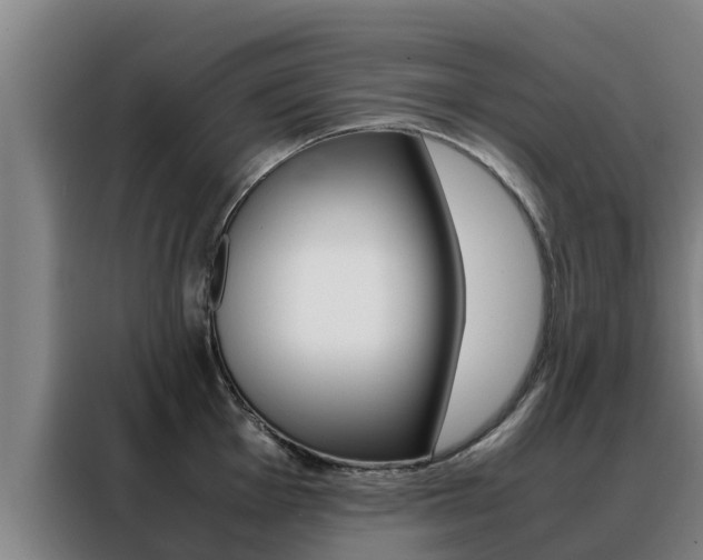 X0000088481001200705220957