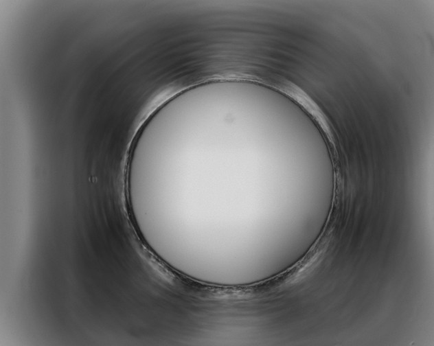 X0000088481002200705220957