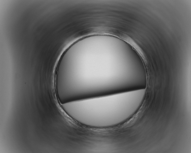 X0000088481004200705220957