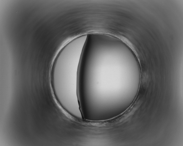 X0000088481005200705220957