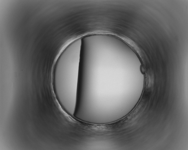 X0000088481006200705220957