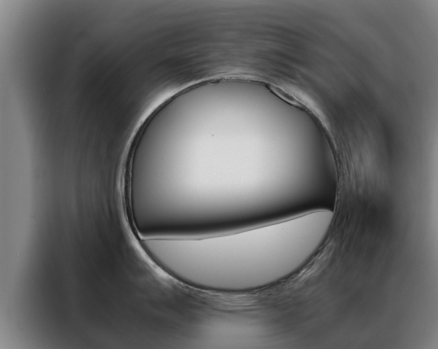 X0000088481007200705220957