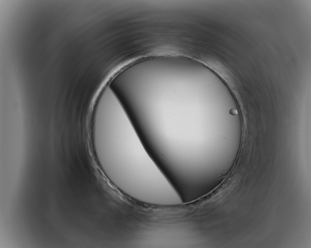 X0000088481008200705220957