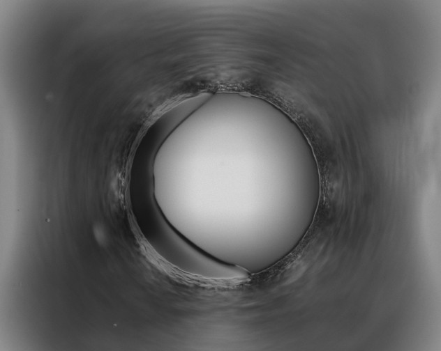 X0000088481010200705220956