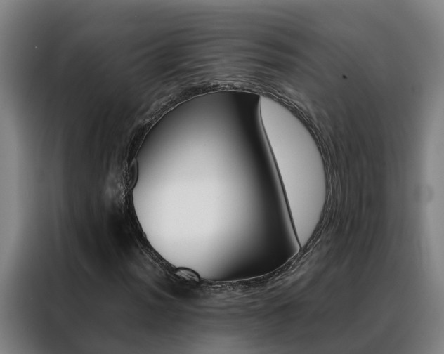 X0000088481012200705220956