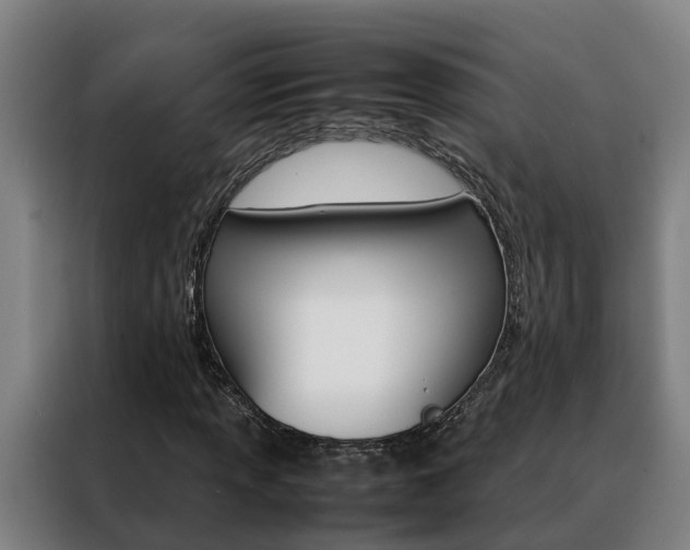 X0000088481013200705220956