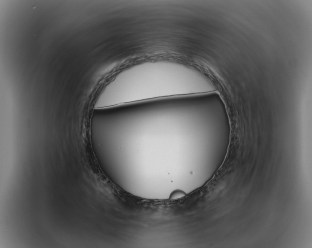 X0000088481016200705220956