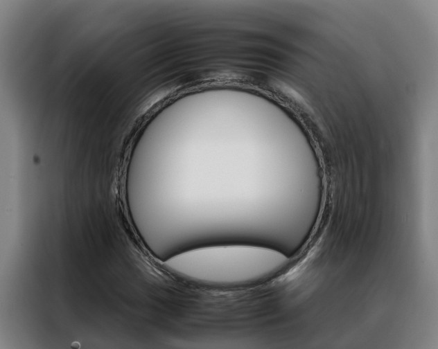 X0000088481017200705220956