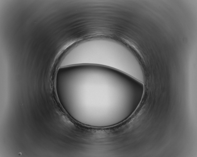 X0000088481018200705220956