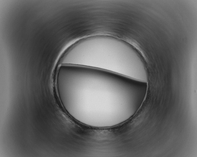 X0000088481024200705220956