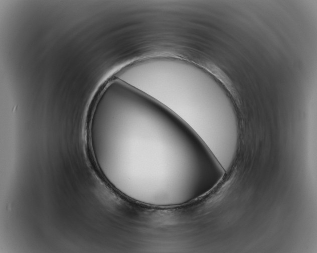 X0000088481028200705220956