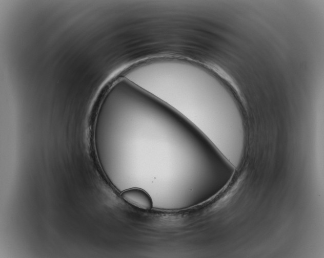 X0000088481029200705220956