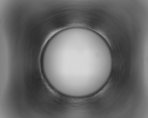 X0000088481030200705220956