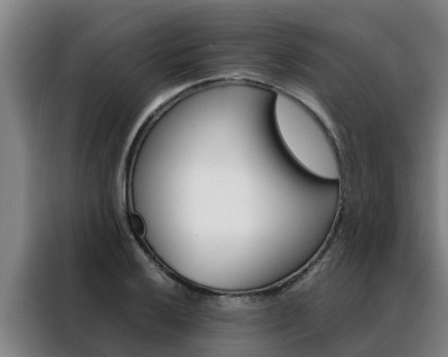 X0000088481032200705220956