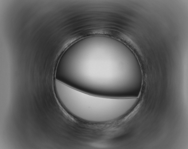 X0000088481033200705220956