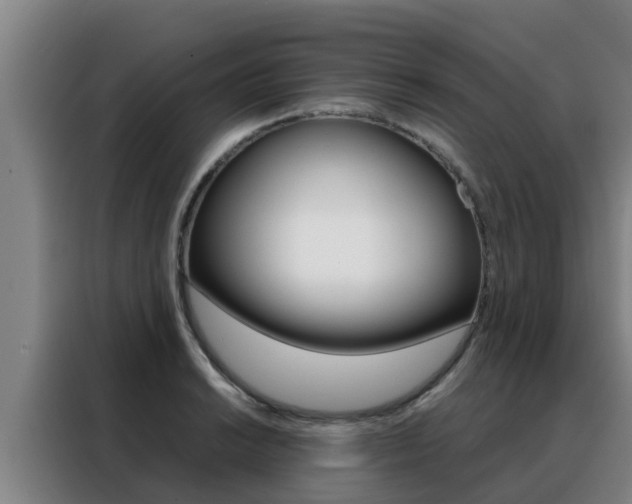 X0000088481038200705220956