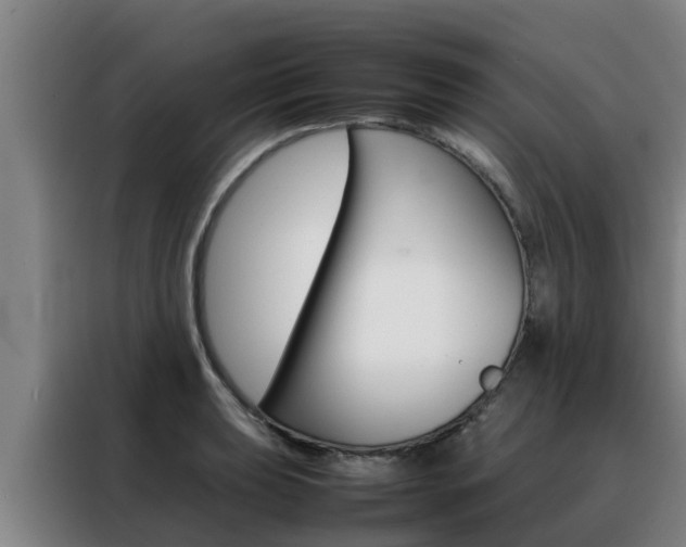 X0000088481039200705220956