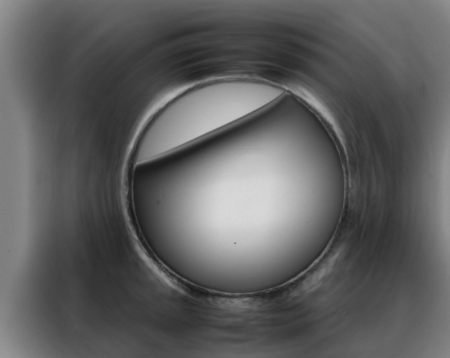 X0000088481045200705220957