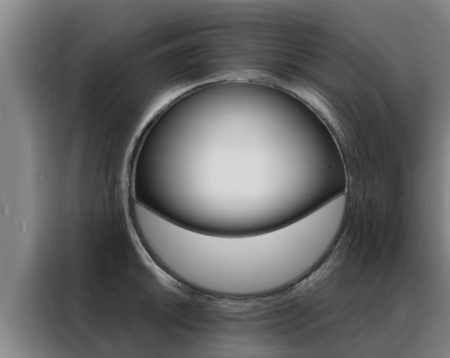 X0000088481046200705220957