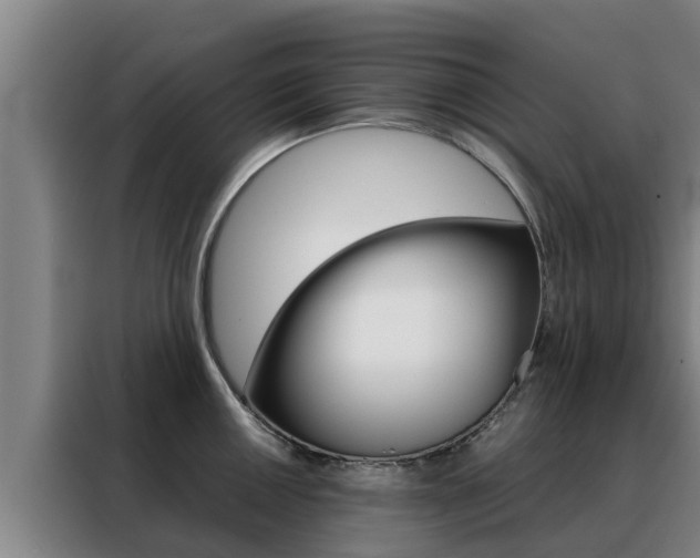 X0000088481050200705220957