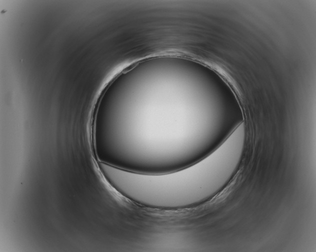 X0000088481054200705220957