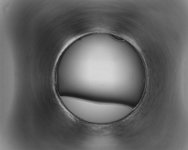 X0000088481056200705220957