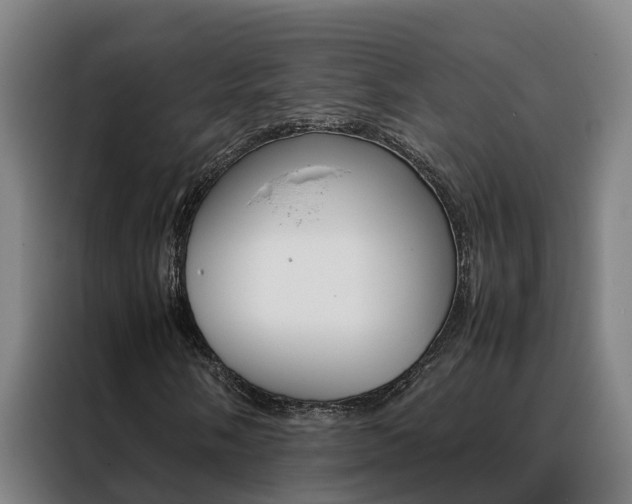 X0000088481058200705220956