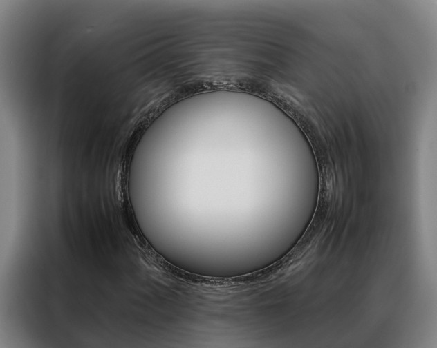 X0000088481060200705220956