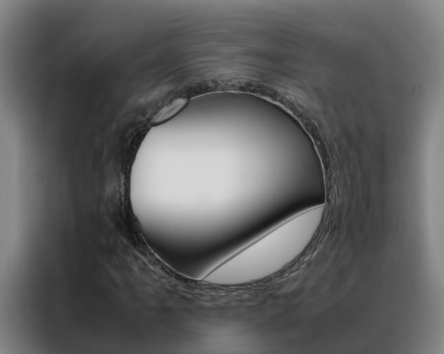 X0000088481061200705220956