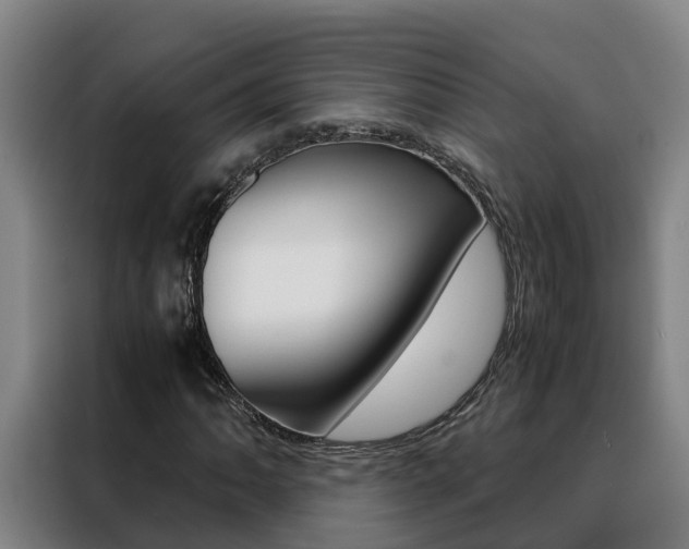 X0000088481062200705220956