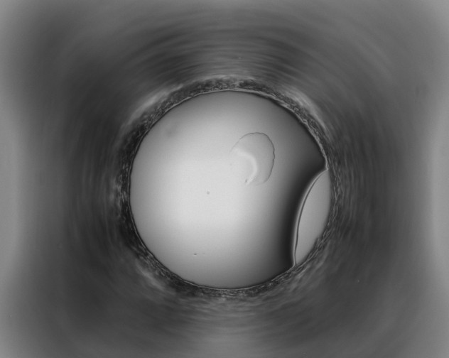X0000088481064200705220956