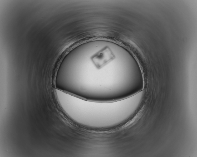 X0000088481065200705220956