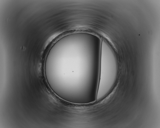 X0000088481066200705220956