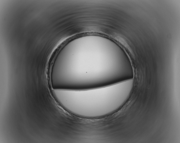 X0000088481068200705220956