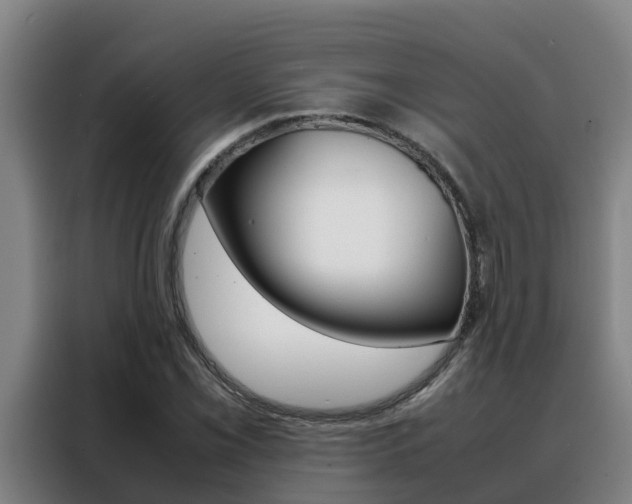 X0000088481069200705220956