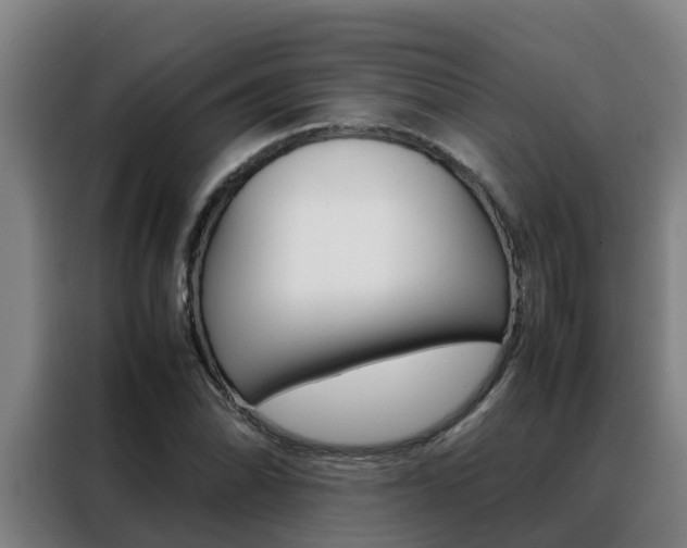 X0000088481070200705220956