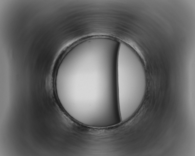 X0000088481072200705220956