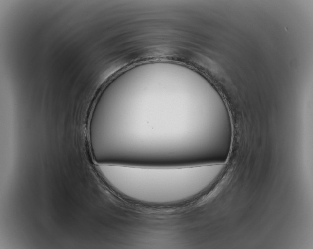 X0000088481073200705220956