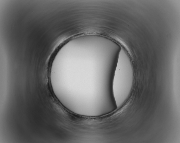 X0000088481075200705220956