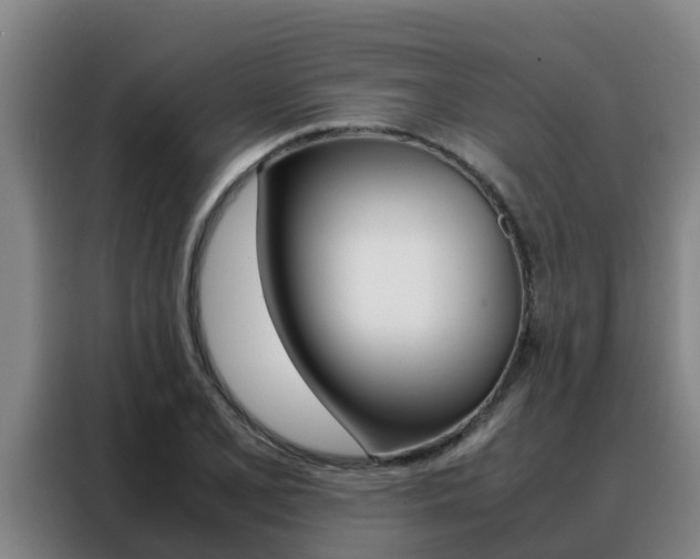 X0000088481077200705220956