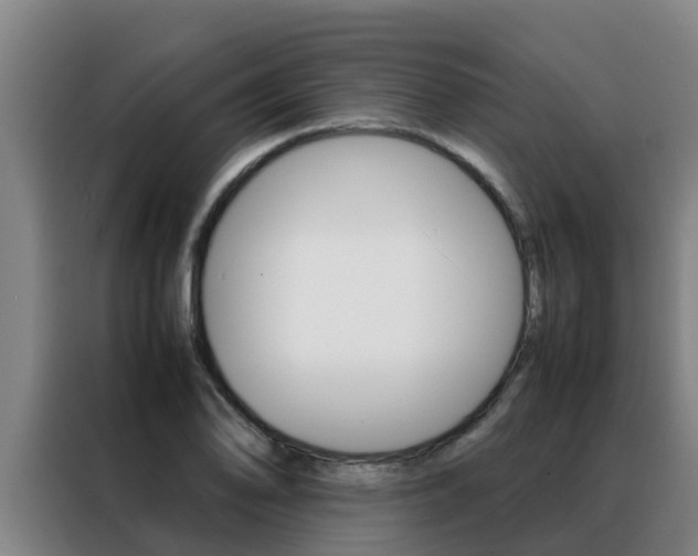 X0000088481078200705220956