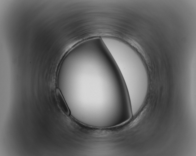X0000088481081200705220956