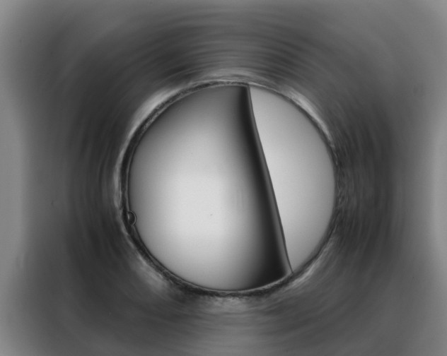 X0000088481082200705220956