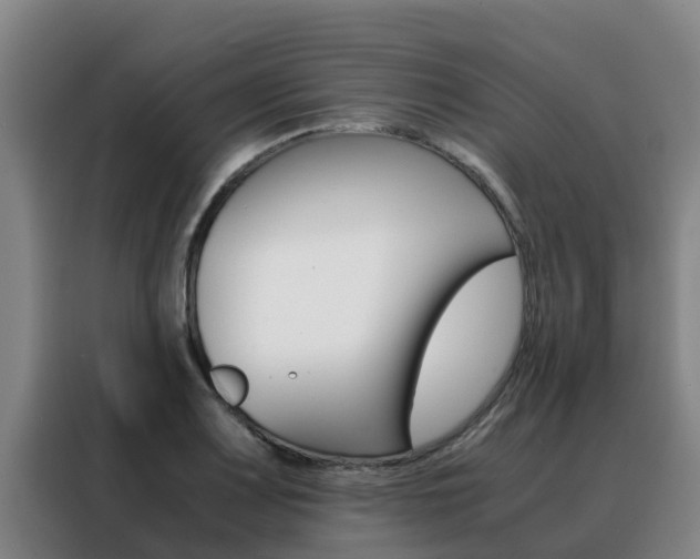 X0000088481083200705220956