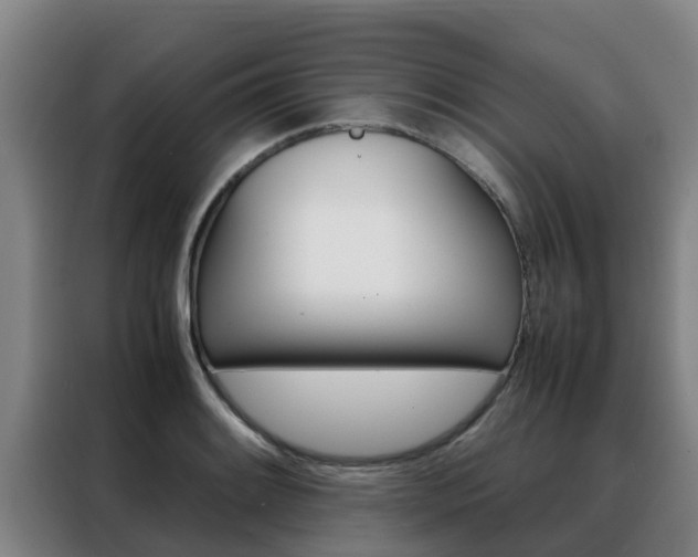 X0000088481084200705220956